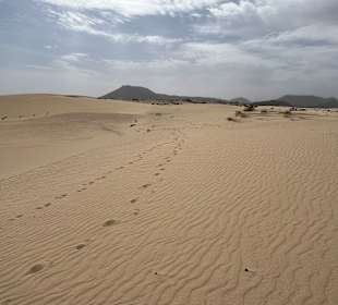 Naturpark Dünen von Corralejo