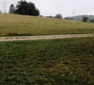 Grillplatz Eninger Weide