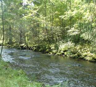 Wunderbare Wanderung am Großen Regen