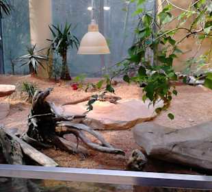 Tierpark Hellabrunn in München