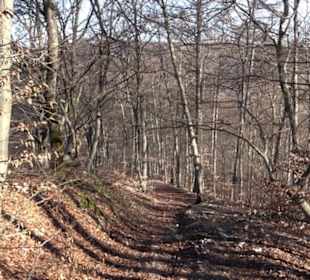 Wandertour Eppenzill