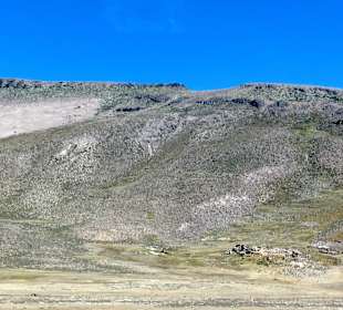 Pampa Cañahuas