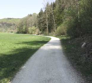 Waldlehrpfad an der Lauter