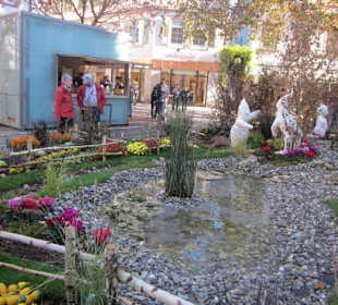 Chrysanthema Lahr
