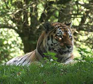 Mal sehen wer hier ist