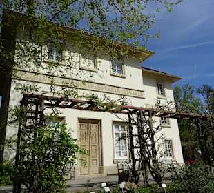 Hohenheim