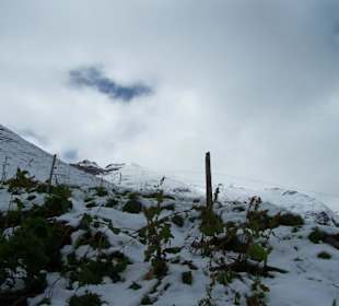 Grossglockner Hochalpenstrasse