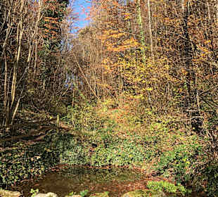 Stadtrundgang Frauenfeld