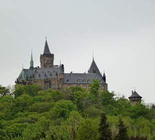 Blick zum Schloß