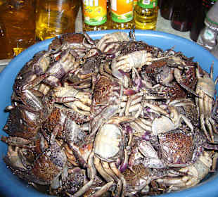 Crab