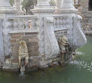 "Старый парк"п. Кабардинка