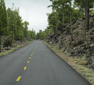 Durch den Nationalpark