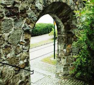 Stadttor zur Donau