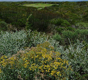 Atlantic Beach Golf Resort