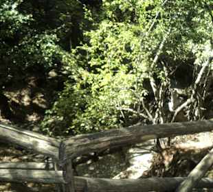 Weg durch das Schmetterlingstal