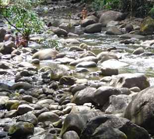 Bei den Wasserfällen