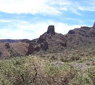 Gegend um den Teide