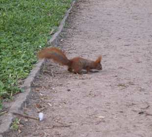 Łazienki Królewskie