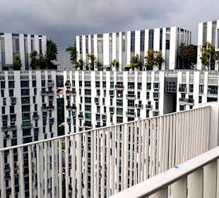 Skybridge