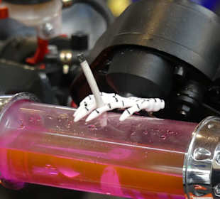 Skurriles auf Rädern