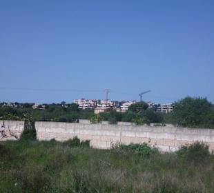Ausflug in die nähere Umgebung mit dem Auto