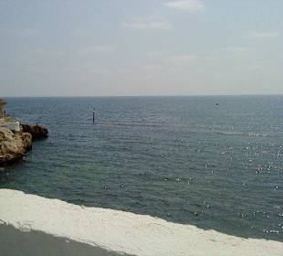 Ausblick aus dem Minizug