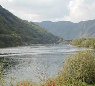 Blick auf die Mosel