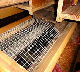 Rundgang durch die Räume der Klostermühle