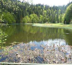 Suttensee
