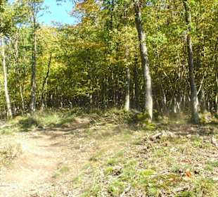 Mal ein flaches Stück