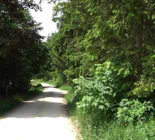 Klimaweg Sonnenalb