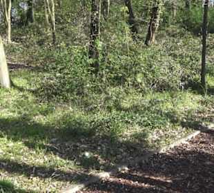 Gartenschau