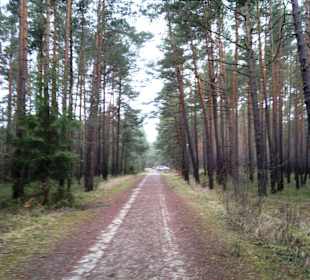 Wanderung vom Parkplatz aus