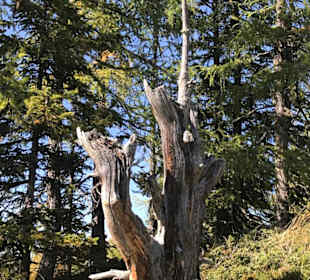 Wandern Bad Kleinkirchheim