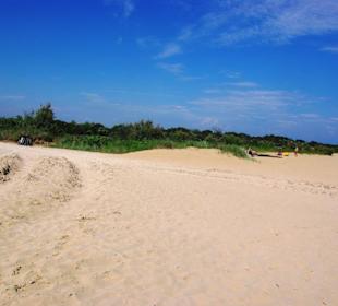 Freier Hundebereich kostenlos