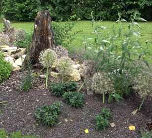 Blühendes Neresheim 2021