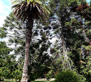 Colonia del Sacramento