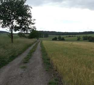 Schutzgebiet Spitzberg, Pfaffenberg
