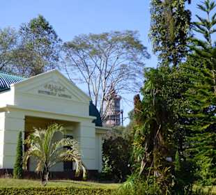 Museum für Schmetterlinge