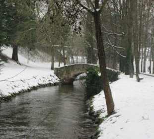 Altstadt Wissembourg im Winter