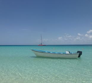 Traumhaftes Karibik Wasser