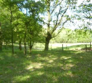 Naturschutzgebiet Boberger Niederung