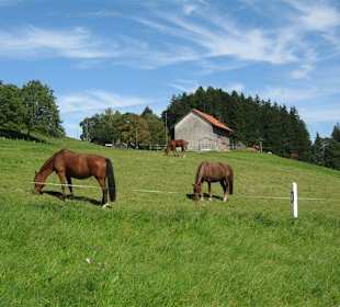 Gasthaus Churfirsten
