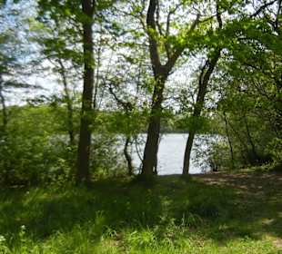 Naturschutzgebiet Boberger Niederung
