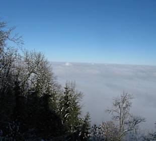 Sneeuw op de Uetliberg