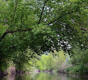 Spływ trawą