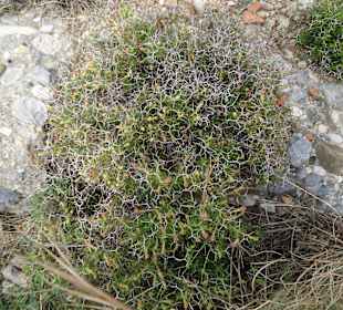 Aussicht von Halbinsel