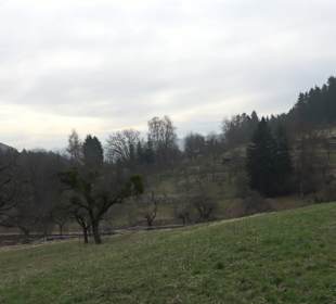 Unterjesinger Wengertwegle