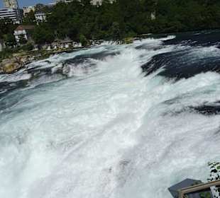 Am Rheinfall