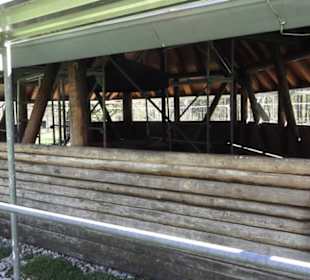 Sport- und Freizeitpark Markwasen